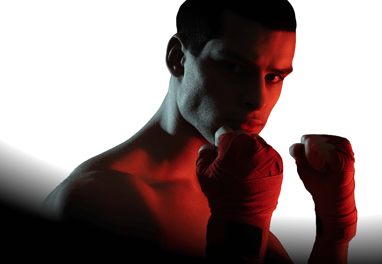 Boxer Porträt Dunkler Hintergrund